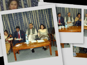 collage1.jpg